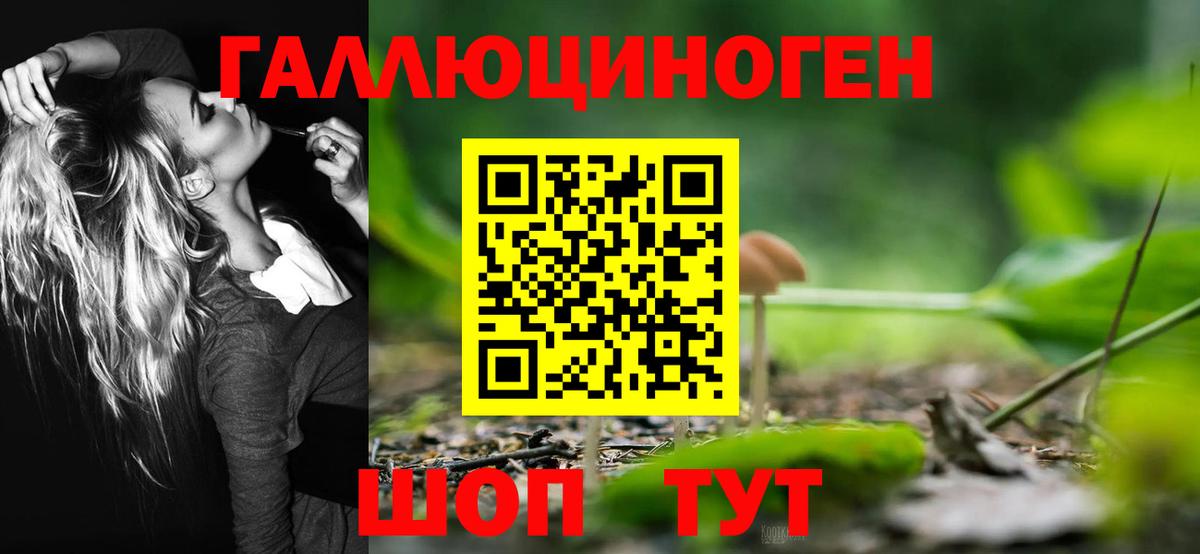 Псилоцибиновые грибы мицелий  Вход с VPN  Вышний Волочёк 